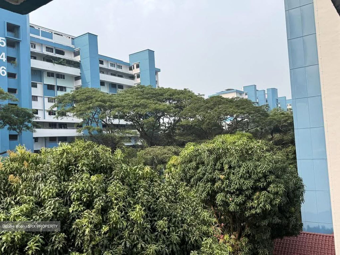Blk 548 Cheng San Place (Ang Mo Kio), HDB 4 Rooms #633027391